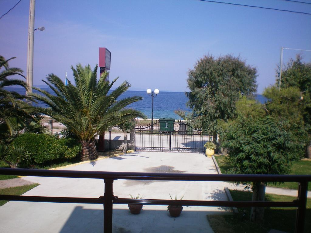 Castro Deluxe Daire Toroni Oda fotoğraf
